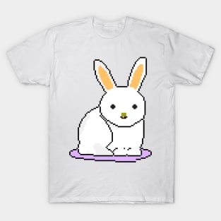 Rabbit Rhythms T-Shirt